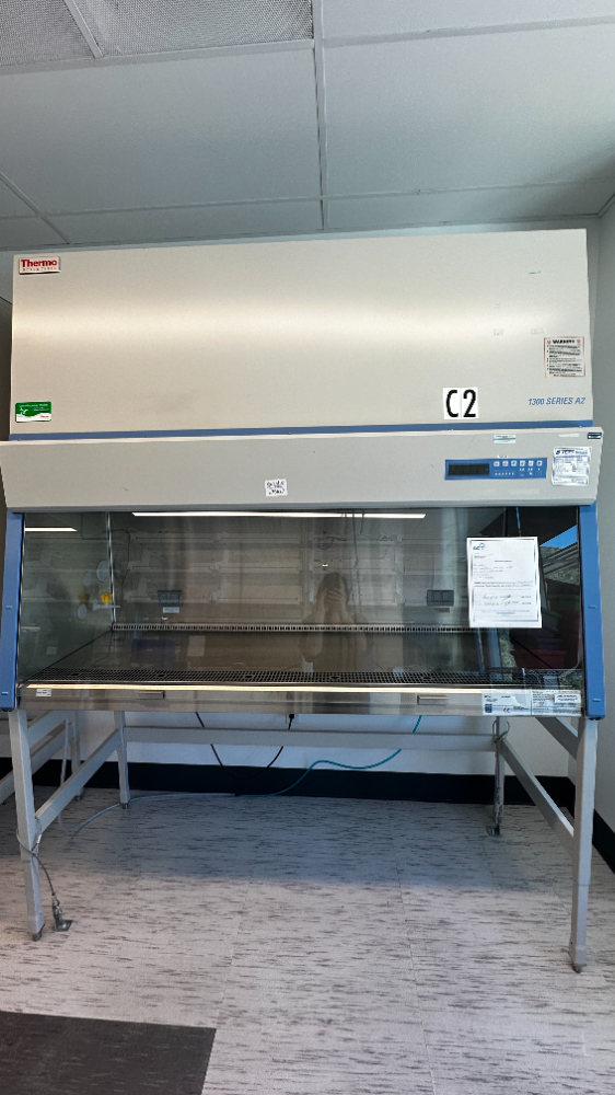 Image of Thermo Scientific 1300 Series A2 BSC- 6ft